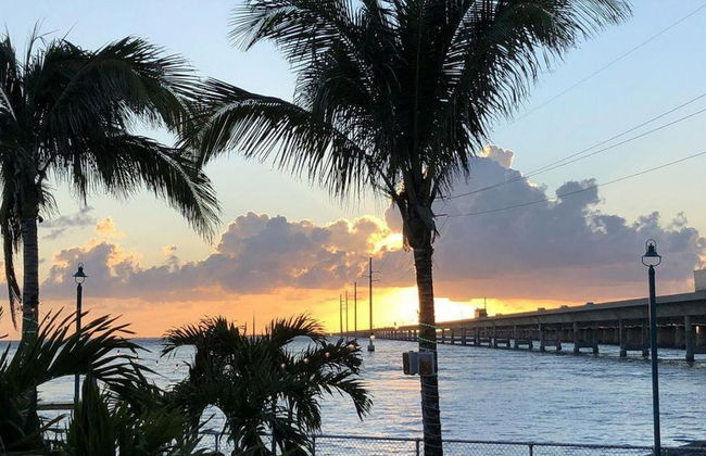 1 Beautiful 4 Bed 3 Bath Pool Home w Free Dock - Foto 34