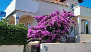 Apartman Milutin - Foto 2