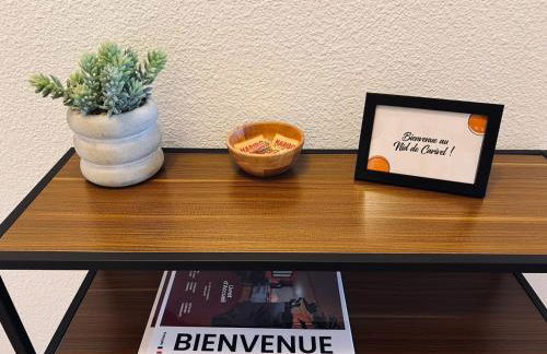 Appartement Graulhet le nid de carivel - Foto 19