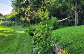 Bienenhaus - Photo 19