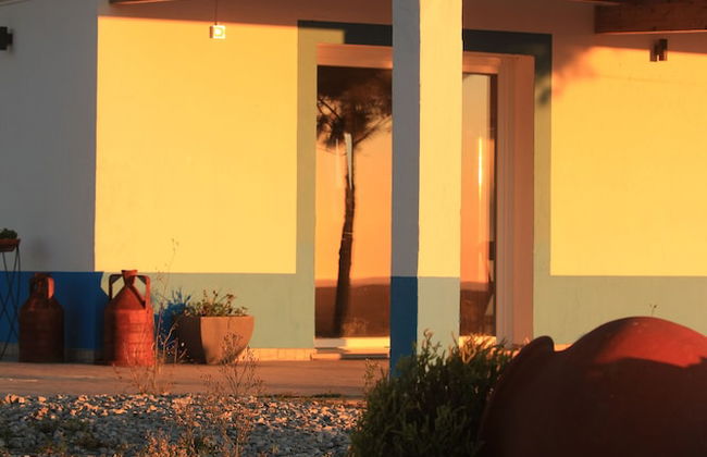 Monte Sardinha - Foto 77