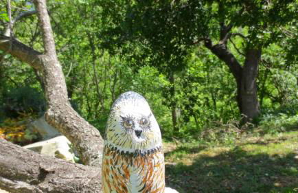 Borgata Castello - Foto 21