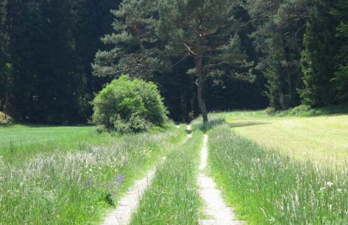 Hummelshof - Foto 44