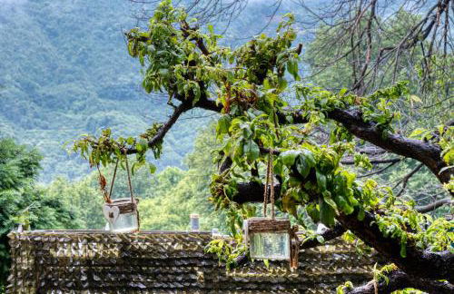 Maria's House - Foto 30