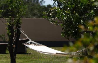 Dimitras Home - Foto 10