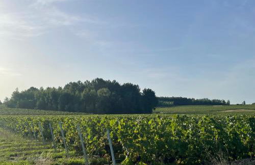 Charmant Gîte au calme, coeur Touraine, proche Chenonceaux - Foto 21