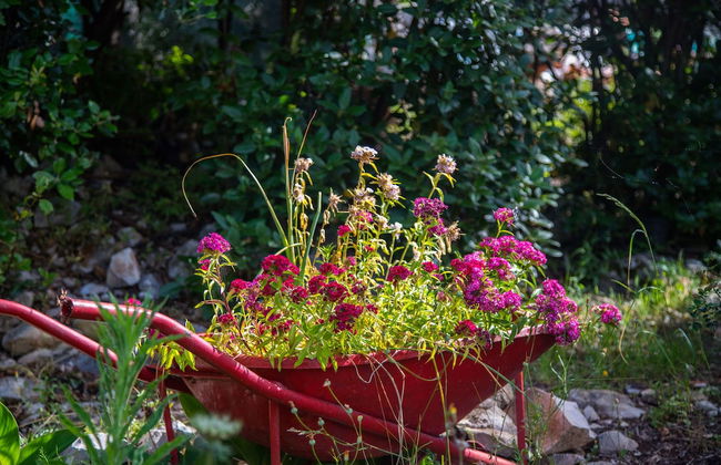 Apartment Slavka - Foto 18