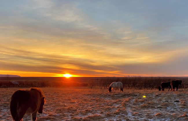 Askot Cottages - Foto 19