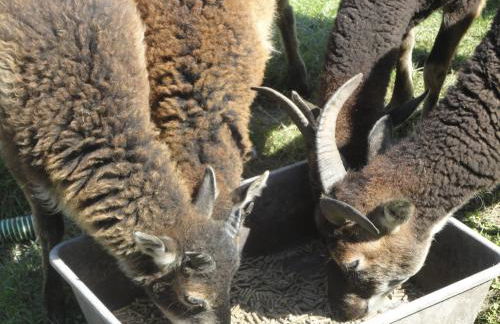 Piraten-Nest - Foto 27