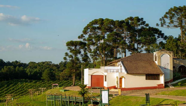 Araucária winery