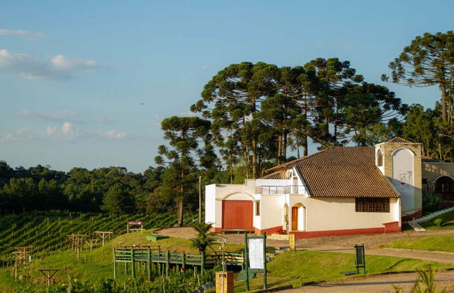 Visita alla cantina Vinícola Araucária - Foto 1