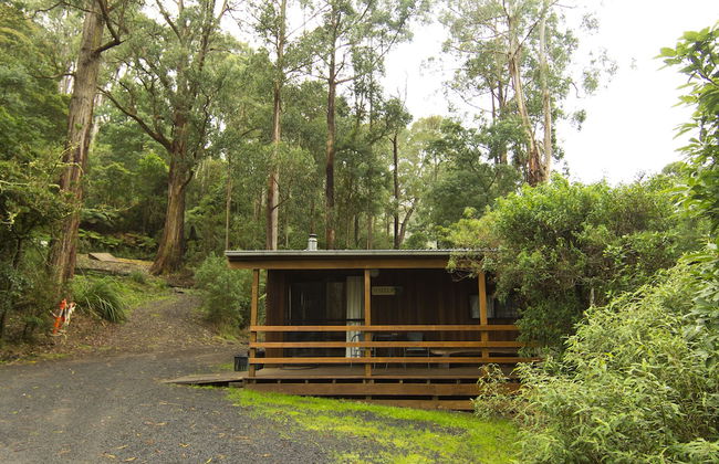 Tarra Valley Retreat - Foto 45