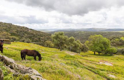Finca la Arborea - Foto 21