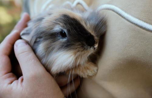 Ferienhof am Ipf - Foto 5