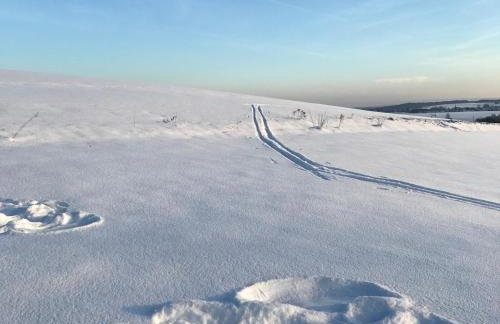 Schön Hier - im Harz - Foto 30