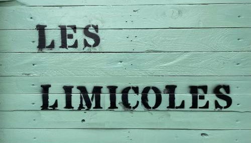 Les Limicoles maison proche mer - Foto 2