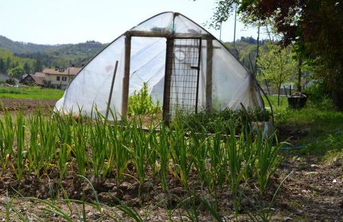 Agriturismo Nestore - Foto 8