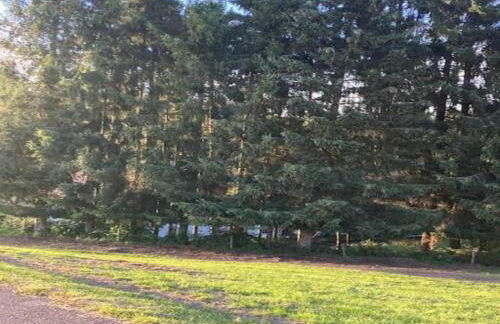 Elegante Ferienwohnung im Schwarzwald, Gorwihl - Foto 65