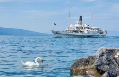 La Martichouette Chambres dans Maison vue sur Lac - Photo 38