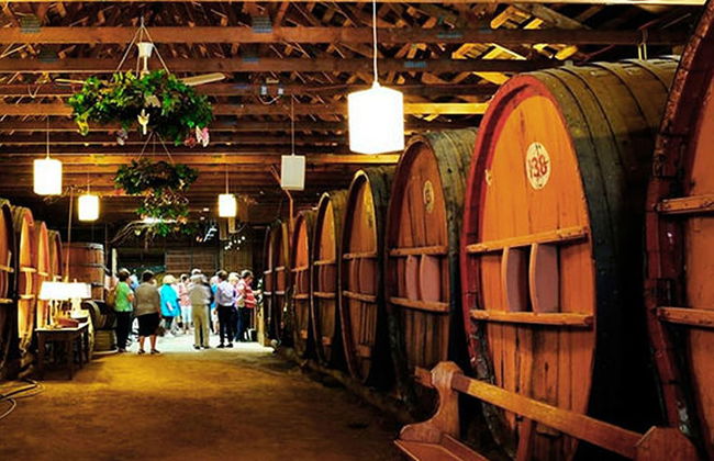 An Ideal Wine Country Getaway Villa - Photo 8