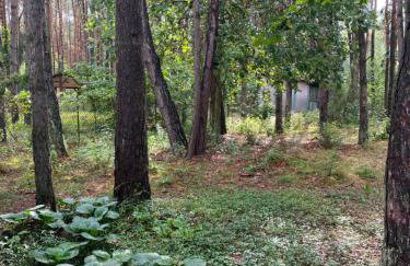 Przytulny domek w lesie blisko rzeki - Foto 16