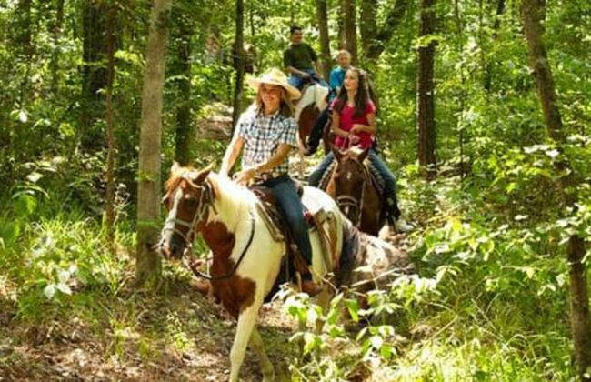 Petradi Hotel - Foto 47