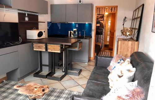 Studio Le 4122 - Chamonix centre Clos du Savoy - Foto 14