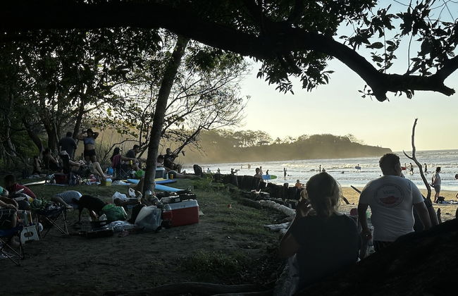Peaceful Apartment in Tamarindo, 50m to the Beach - Photo 40
