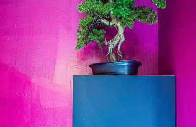 Les secrets de Julie - Love Room - Foto 30