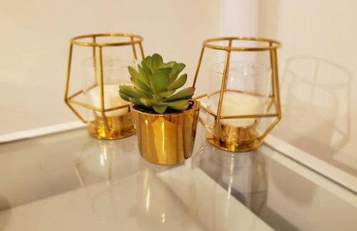 The Gold Room near downtown trains fast wifi - Photo 47