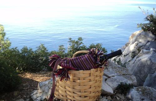 Country House Konavle - Foto 46