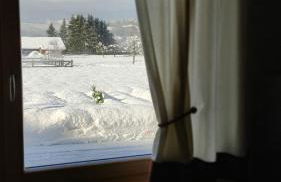 Mini Maule - Foto 17