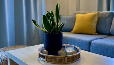 Casa Akrolithos - Foto 4