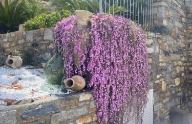 Dama casa vacanze - Foto 64