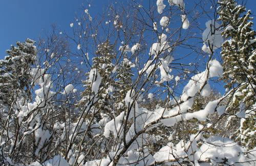 Gemütliches Bungalow an der Ostsee - Photo 33