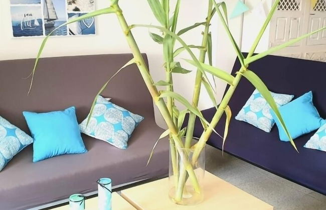 Dúplex en primera Línea de playa - Foto 6