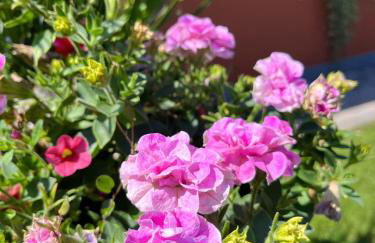 Neu sanierte Wohnung für 2-4 P - Foto 19