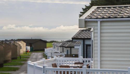Caravan A24 at Landscove Holiday Park - Foto 2