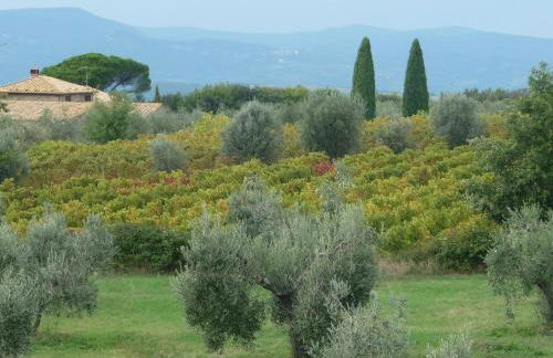 Castel Brunello - Foto 67