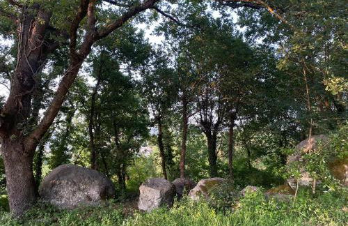 Agriturismo Tenute di Hera - Via Francigena - Foto 38