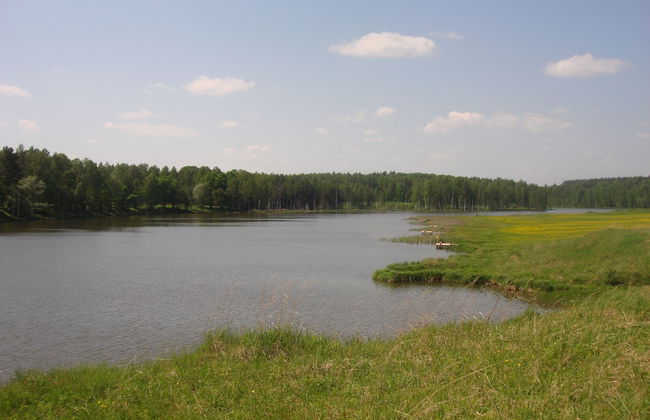 Far Cordon - Photo 12