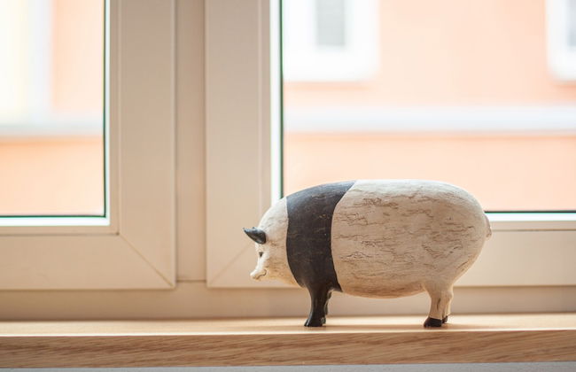 cozy living near Residence with terrace - Photo 21