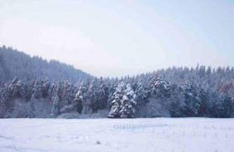 Uroczy domek w Rabce-Zdrój - Foto 34