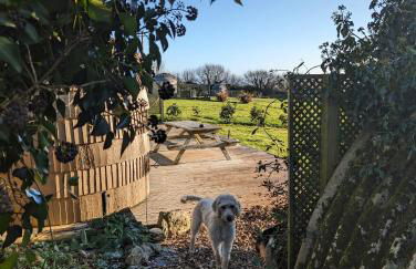 Dreckly cabin - Lydcott Glamping with Cornish sea views - Foto 11