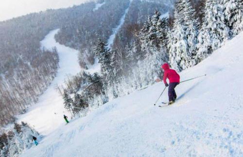 The Lily Pad at Loon Lake near Gore Mountain - Foto 47