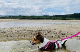 Luxurious mountain retreat lodge Hunters Quay - Foto 41