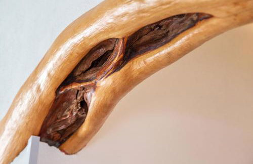 Villa Maddalena - Foto 26