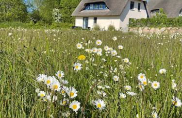 Stilvolles Reetdachhaus Coastline an der Ostsee - Foto 9