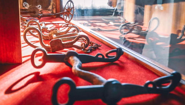 Boat Trip to Guaíba - Foto 4