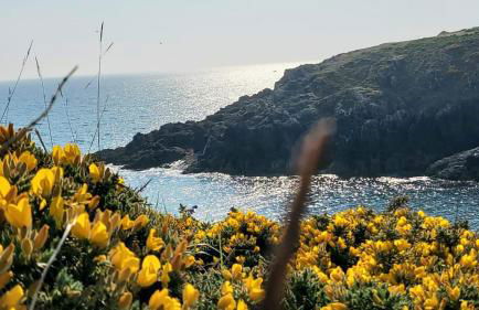 Portec la mer et le sentier côtier à pied - Foto 43